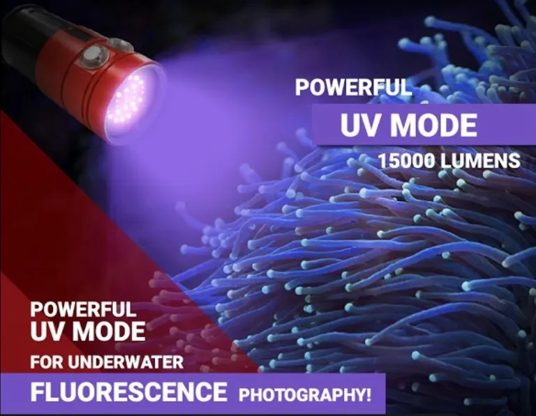 Diving Light FL V3
